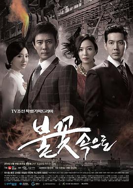 双流区优化网站建设